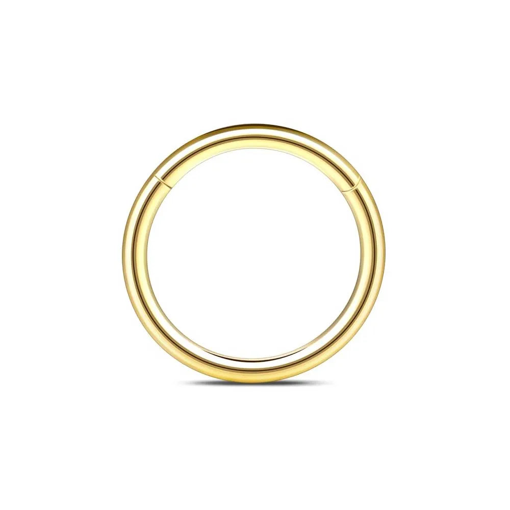 1/6/12PCS Nose Septum Rings 16G Surgical Steel Nose Piercing Jewelry 8mm 10mm 12mm Horseshoe Lip Earring Eyebrow Hoop Gold