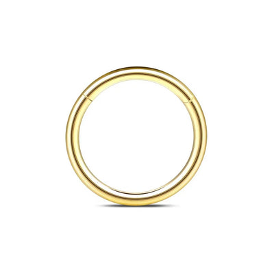 1/6/12PCS Nose Septum Rings 16G Surgical Steel Nose Piercing Jewelry 8mm 10mm 12mm Horseshoe Lip Earring Eyebrow Hoop Gold