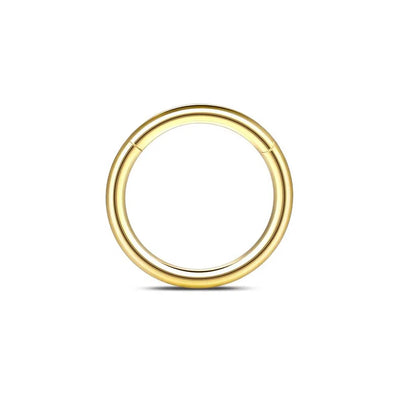 1/6/12PCS Nose Septum Rings 16G Surgical Steel Nose Piercing Jewelry 8mm 10mm 12mm Horseshoe Lip Earring Eyebrow Hoop Gold