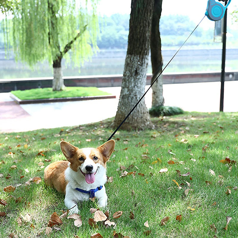 3 Meters 5 Meters Retractable Dog Leash Pet Leash Traction Rope Belt Automatic Flexible Leash For Small Medium Large Dog Product